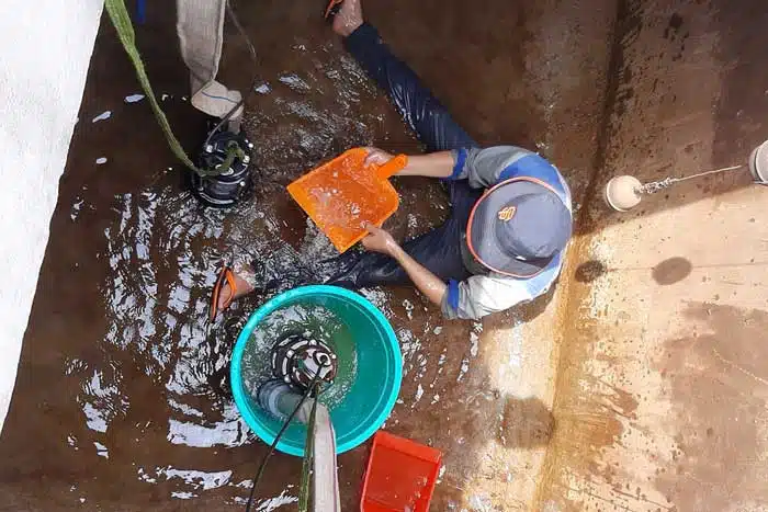 Chống thấm dột Trường Thịnh
